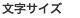 文字サイズ